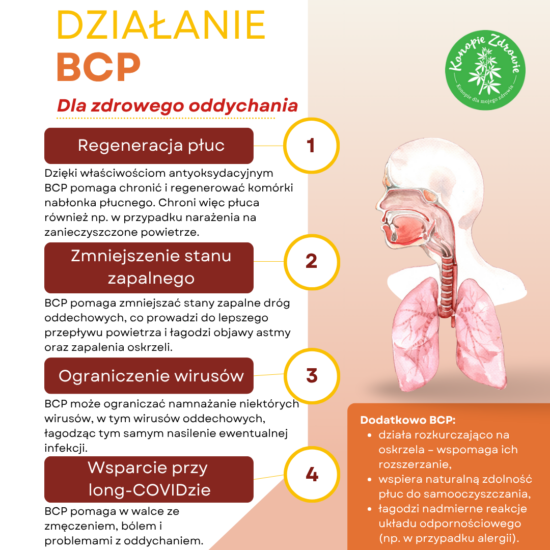 BCPplice - PL